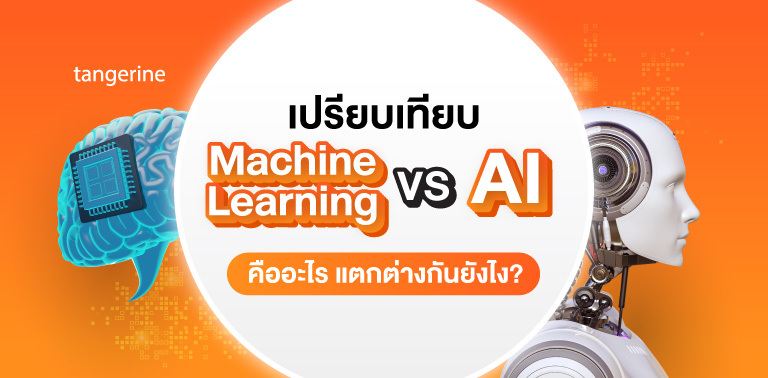 เปรียบเทียบ Machine Learning vs AI คืออะไร แตกต่างกันยังไง?