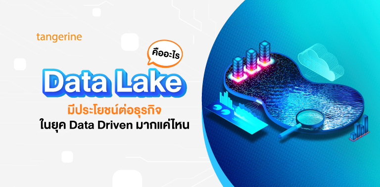 Data Lake คืออะไร มีประโยชน์ต่อธุรกิจในยุค Data Driven มากแค่ไหน